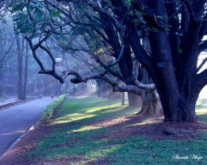  Winter @ IISc