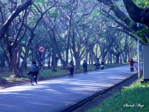 Winter @ IISc