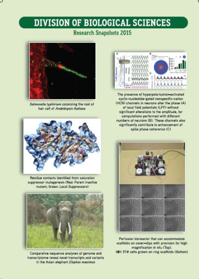 Indian Institute of Science